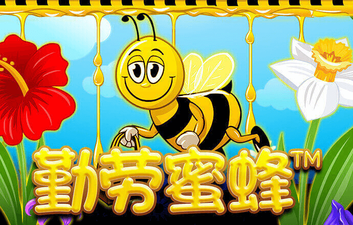 幻影体育平台登录